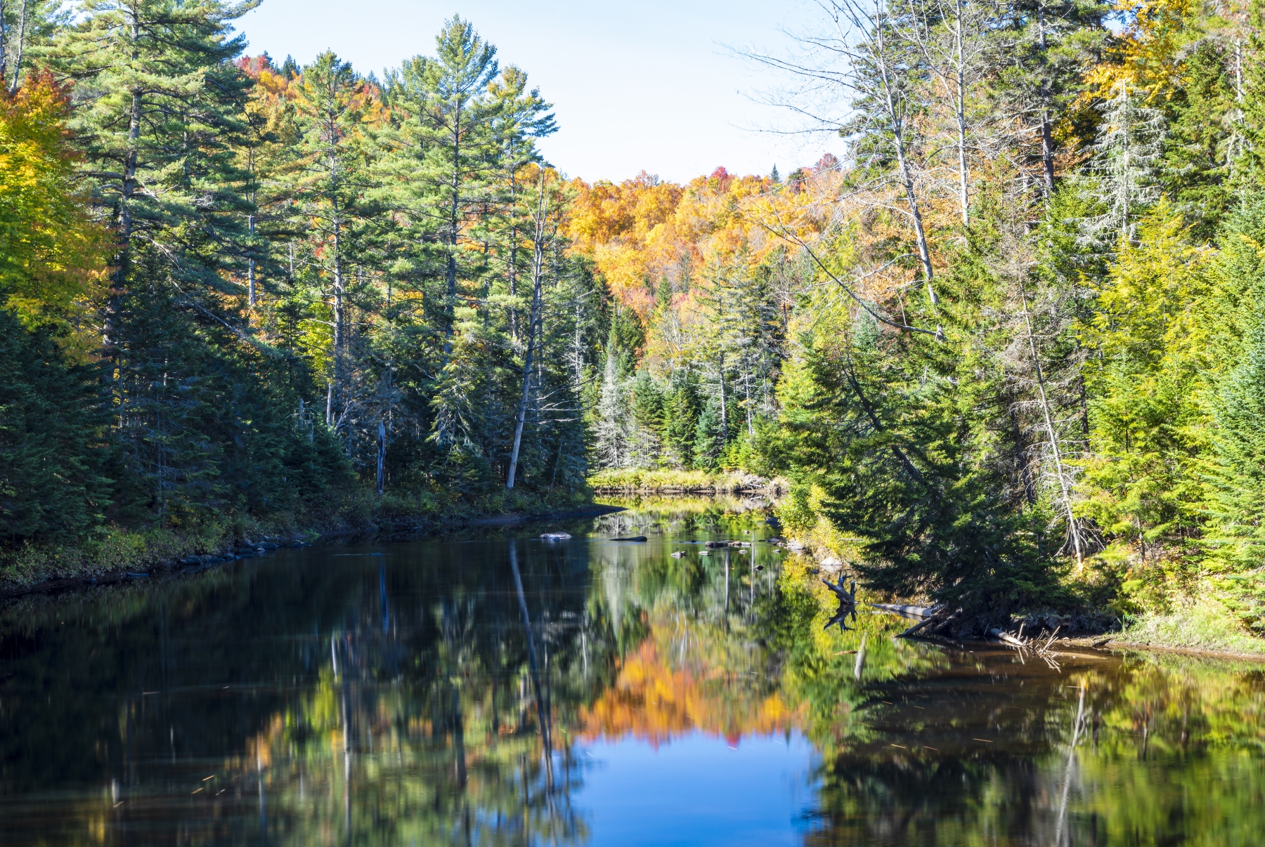 /gallery/north_america/USA/NY/jay/Ausable River October 2021-010_med.jpg